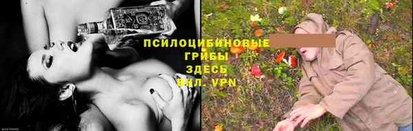 индика Армянск