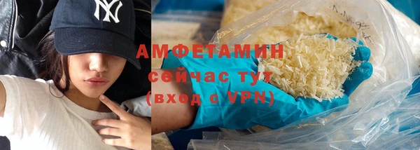 шишки Арсеньев