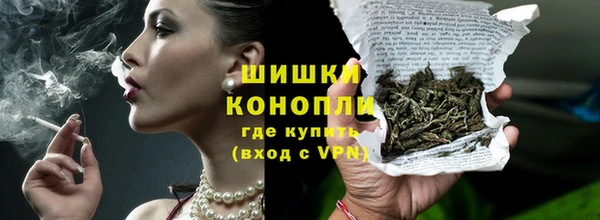 шишки Арсеньев