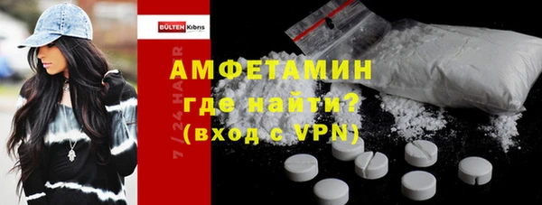 шишки Арсеньев