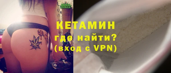 шишки Арсеньев
