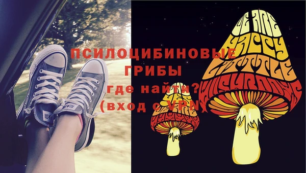 шишки Арсеньев