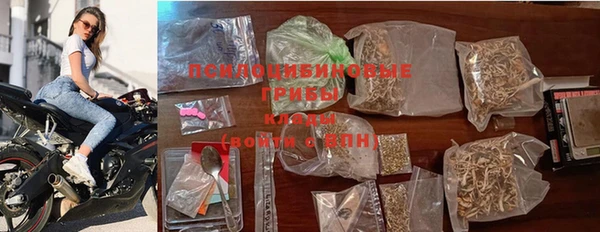 индика Армянск