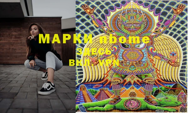 шишки Арсеньев