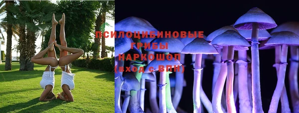 прущий лед Пестово