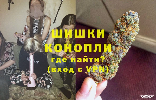 шишки Арсеньев