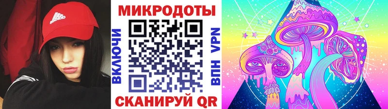 Псилоцибиновые грибы прущие грибы купить сайты Порхов